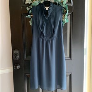 Anne Taylor Loft dress
